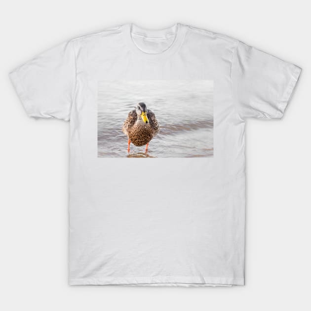 Cute Funny Mallard Duck Portrait T-Shirt by Amy-K-Mitchell